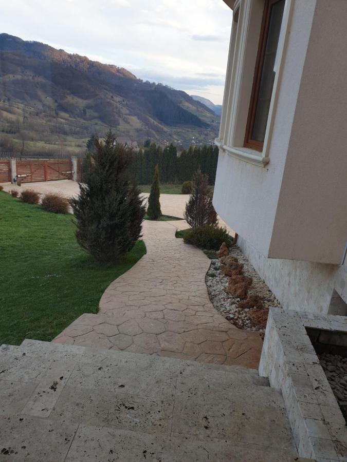 Vila Daria 3 Rucăr Dış mekan fotoğraf