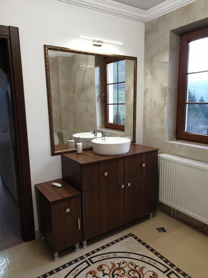 Vila Daria 3 Rucăr Dış mekan fotoğraf